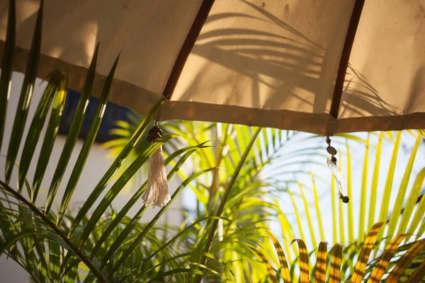 Dekor des Sommerschirms. Sonniges tropisches Paradies. — Stockfoto