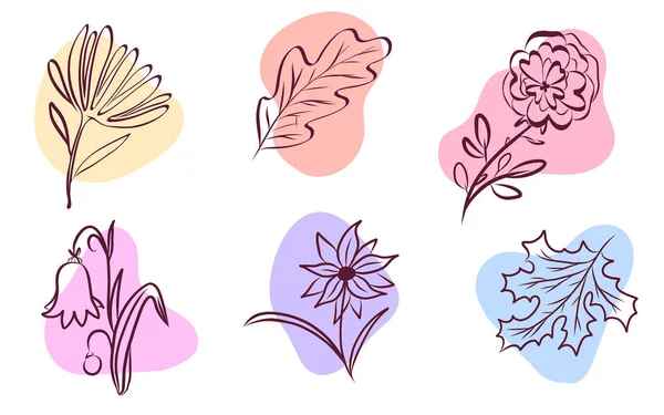 Doodles vetor de tinta floral. Folhas e flores bonitos —  Vetores de Stock