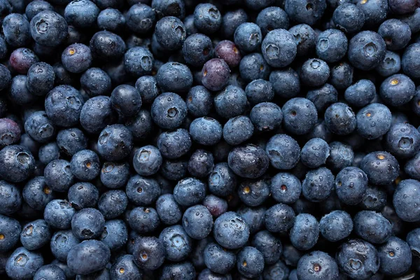 Blueberries fresh flatlay shot — Stock Photo, Image