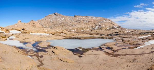 Granit dağların Bektau-Ata, Bahar