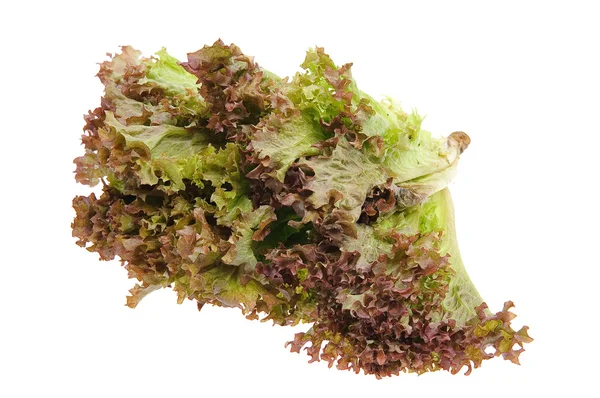 Mercan salata - Lola Rosa