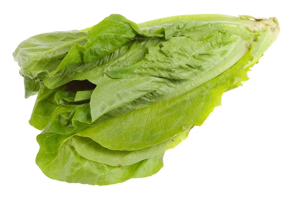 Romaine Sla — Stockfoto