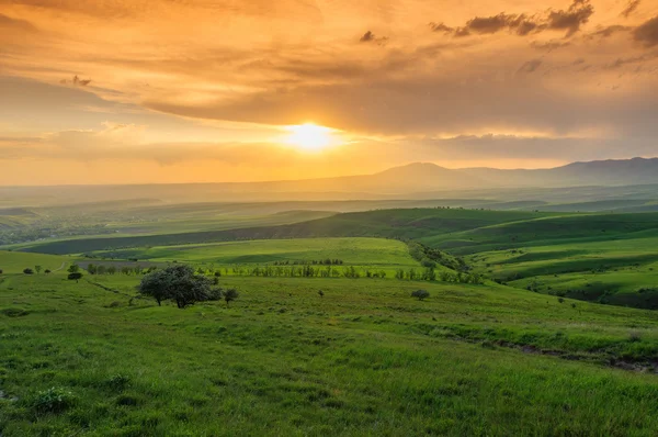 Güney Kazakistan'ın günbatımı manzara