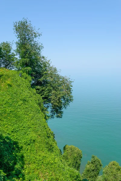 Green hill sobre el mar Negro —  Fotos de Stock