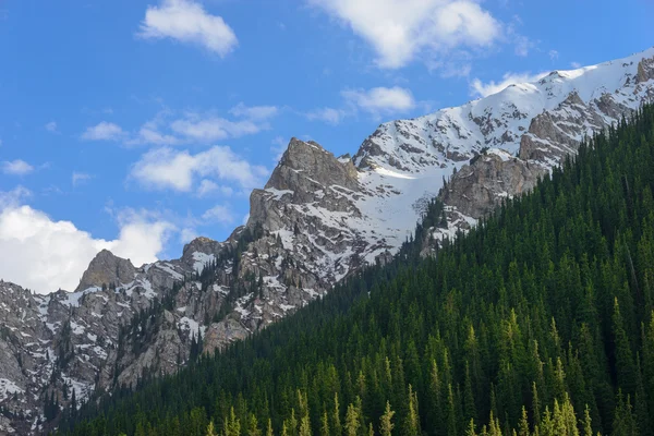 Cordillera — Foto de Stock