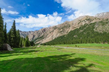 Meadow in a mountain gorge