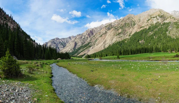 Gorges de montagne au Kirghizistan — Photo