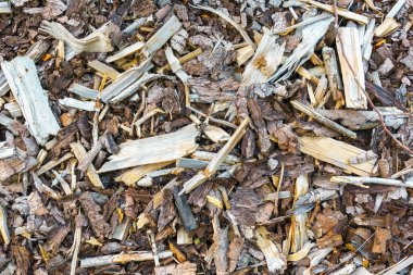 Çeşitli odun parçalarını kapat