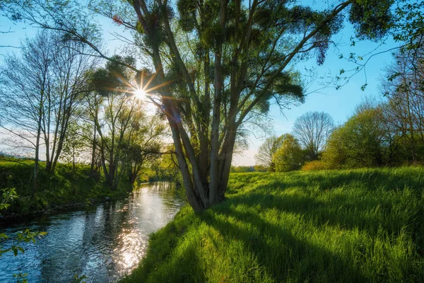 Ein Idyllischer Sonnenuntergang Einem Kleinen Fluss Mit Grünen Dämmen — Stockfoto