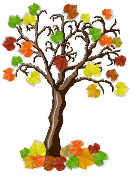 Beautiful autumn tree on white — Stock Photo, Image