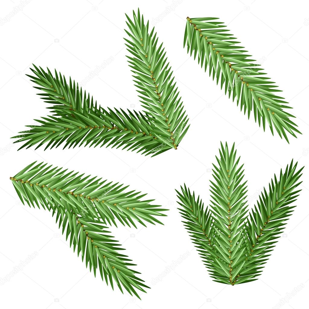 Set vector Christmas tree branch for decorate