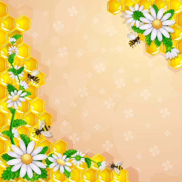 Abeilles aux fleurs et rayons de miel — Photo