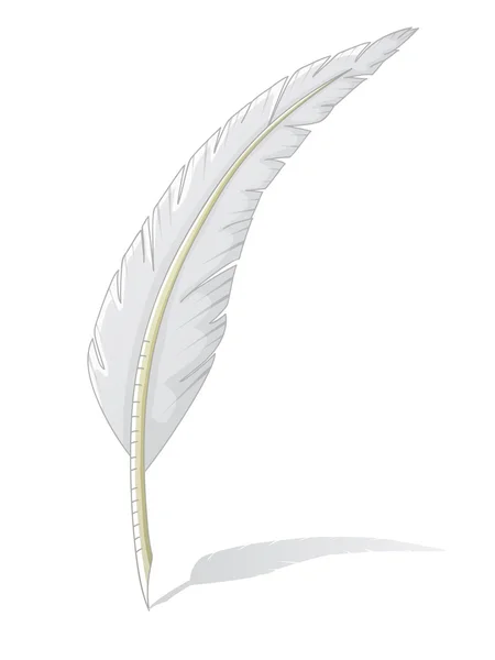 Quill isolated on white — Stock Photo, Image