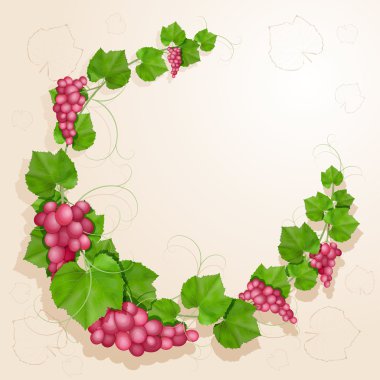 Üzüm yaprakları arka plan ile