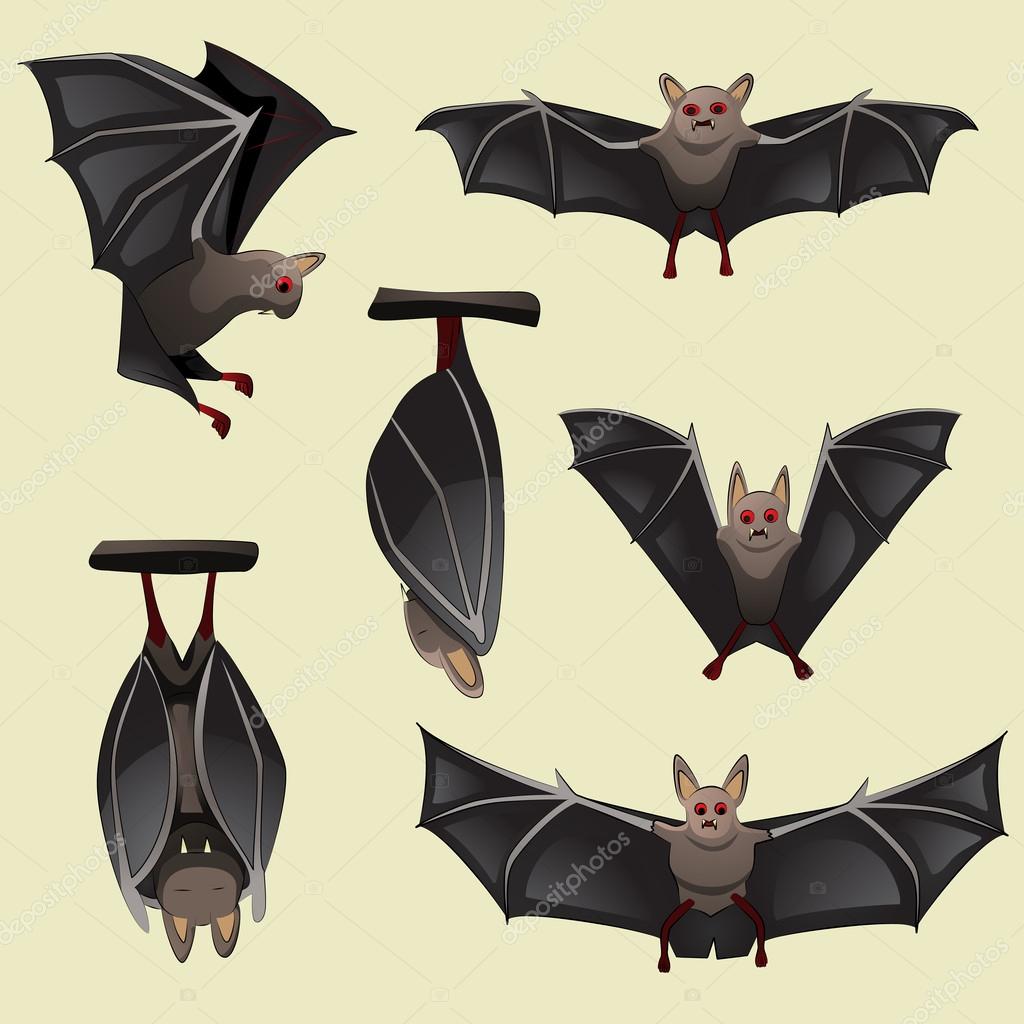 과일 박쥐 스톡 벡터, 로열티-프리 과일 박쥐 일러스트레이션 - 페이지 %3$d | DepositPhotos, image size:1024x1024