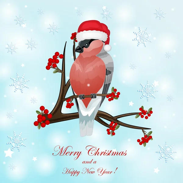 红腹灰雀与浆果在雪花免费圣诞贺卡 — 图库矢量图片