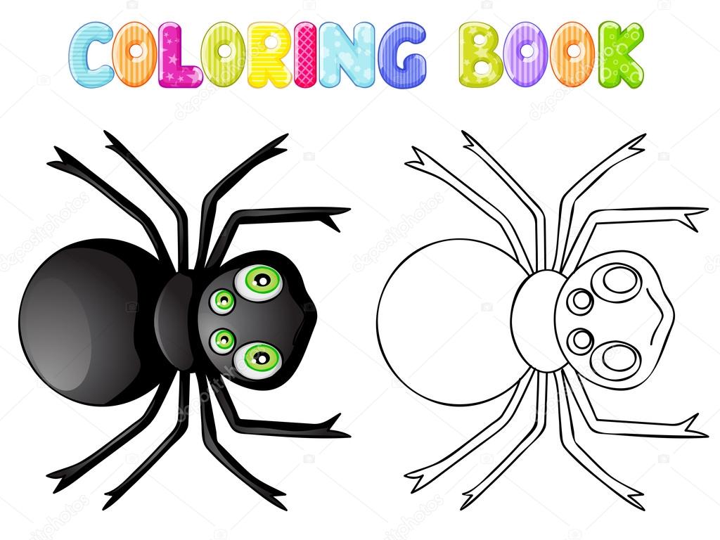 Coloring spider