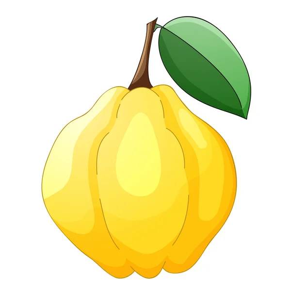 Айва рисунок для детей