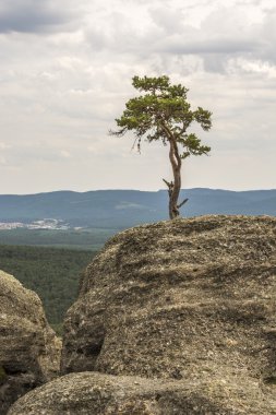 castroviejo, duruelo de la sierra, soria, castilla ve leon kayalarda