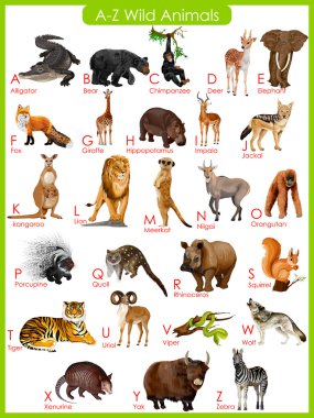 Chart of A to Z wild animals clipart