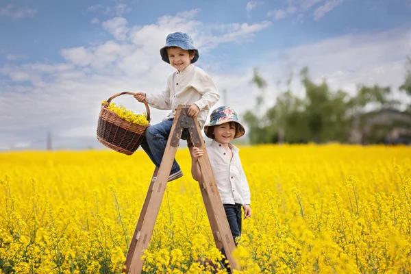 Meninos felizes, sentados em uma escada de madeira em fie estupro amarelo — Fotografia de Stock