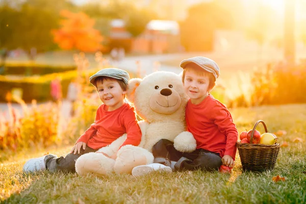 Dois meninos adoráveis com seu amigo ursinho de pelúcia no parque — Fotografia de Stock