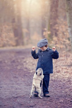 Ormandaki küçük evcil köpek ile oynayan sevimli küçük çocuk