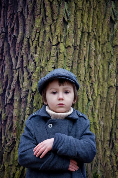 Portrait rapproché d'un petit garçon dans la forêt, debout à côté d'un — Photo