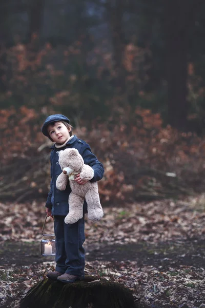 Lindo niño, sosteniendo linterna y oso de peluche en el bosque —  Fotos de Stock