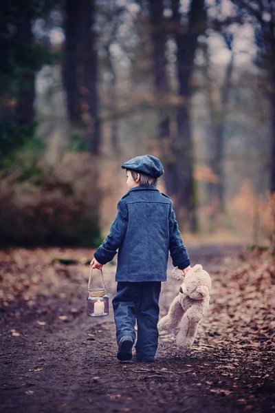 Criança bonito, segurando lanterna e ursinho de pelúcia na floresta — Fotografia de Stock
