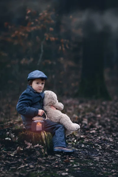 Lindo niño, sosteniendo linterna y oso de peluche en el bosque — Foto de Stock