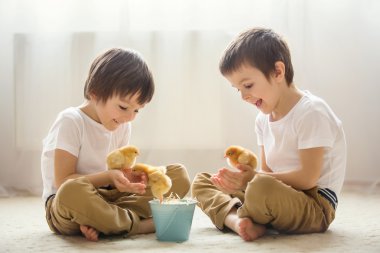 İki tatlı küçük çocuklar, okul öncesi çocuklar, zekâ oynayan kardeşler,