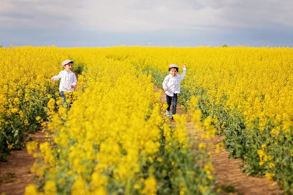 Two adorable children, brothers, running in an oilseed rape fiel — Stock Photo, Image