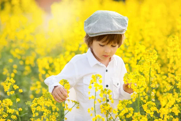 Lindo niño adorable, muchacho, en un campo de colza oleaginosa —  Fotos de Stock
