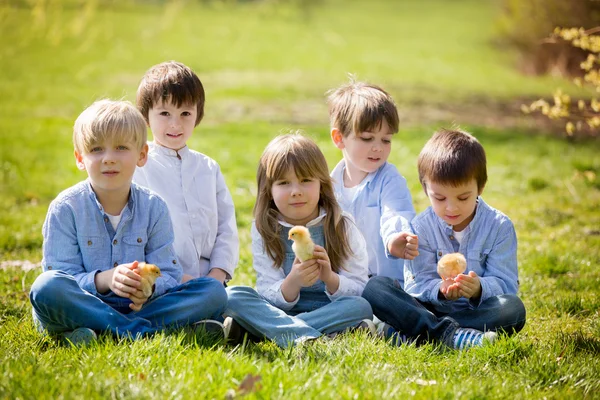 Groep preschool kinderen, vrienden en broers en zussen, spelen in de pa — Stockfoto