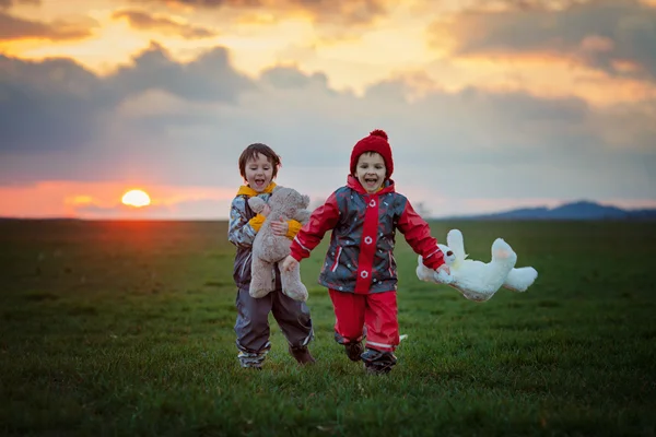 Dos adorables niños, hermanos varones, observando bellos y espléndidos —  Fotos de Stock