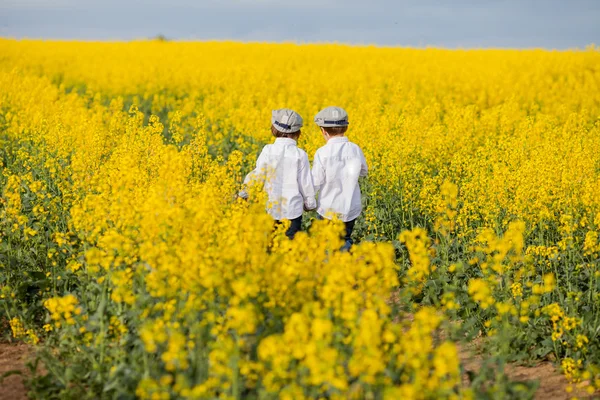 愛らしい小さな男の子が、黄色の油糧種子菜の花畑、後ろに立っています。 — ストック写真