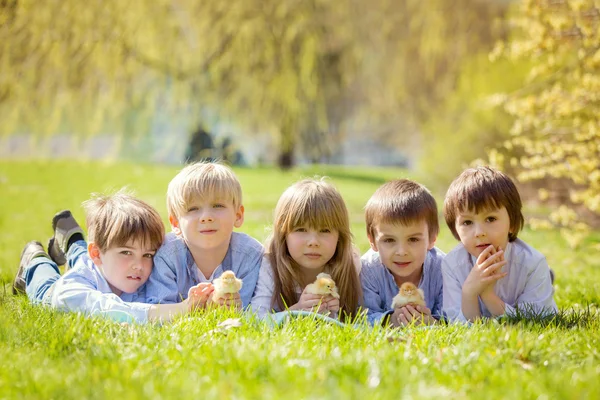 Группа дошкольников, друзей и братьев и сестер, играющих в па — стоковое фото