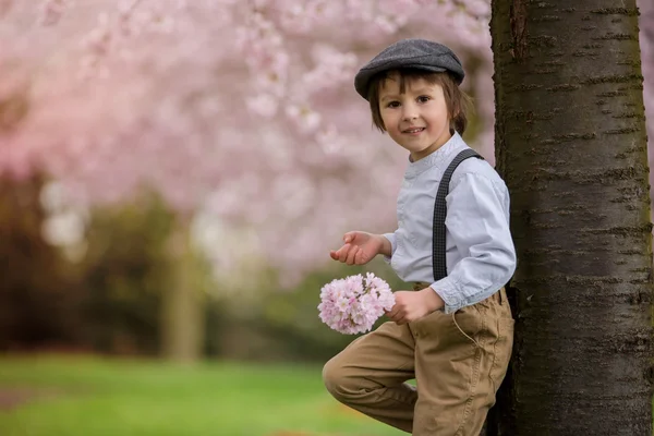 Beautiful young preschool boy, standing in a cherry blossom gard — Stock Photo, Image