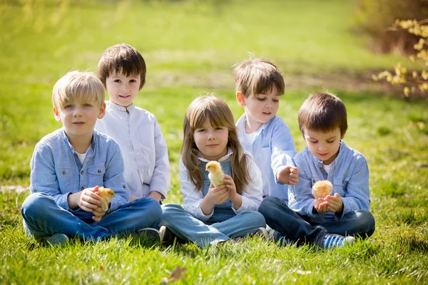 Group of preschool kids, friends and siblings, playing in the pa — Stock Photo, Image
