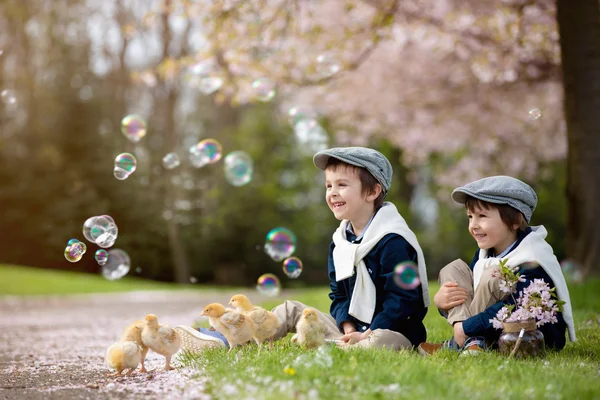 Duas crianças pré-escolares adoráveis, irmãos meninos, brincando com o litt — Fotografia de Stock