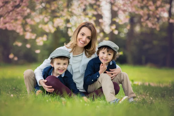 Mãe com dois filhos, meninos, lendo um livro em uma flor de cereja — Fotografia de Stock
