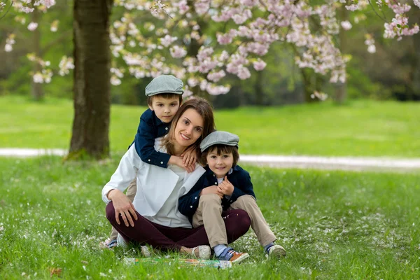 Μητέρα με δύο παιδιά, αγόρια, διαβάζοντας ένα βιβλίο σε ένα κεράσι bloss — Φωτογραφία Αρχείου