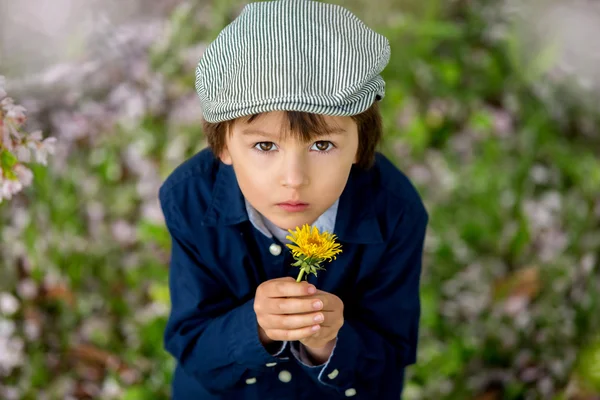 Güzel çiçek tutan genç bir okul öncesi çocuk portresi — Stok fotoğraf