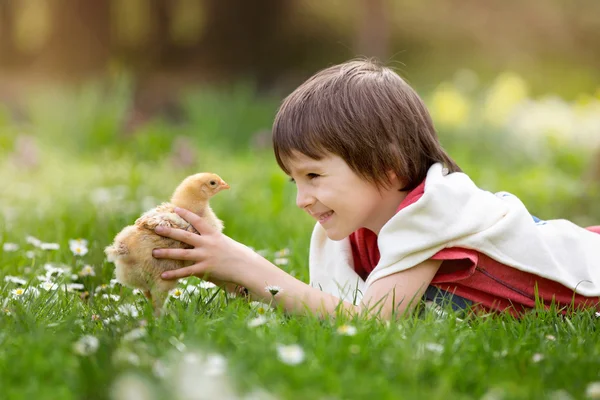 Dulce niño, niño preescolar, acostado en la hierba, jugando w —  Fotos de Stock