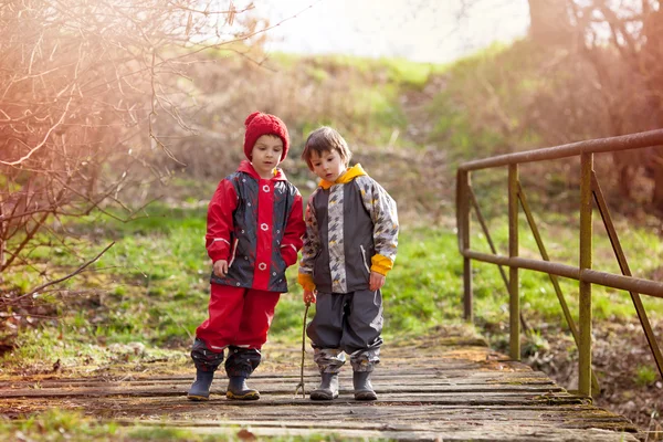 Dois filhos bonitos, meninos irmãos, brincando juntos no parque, r — Fotografia de Stock