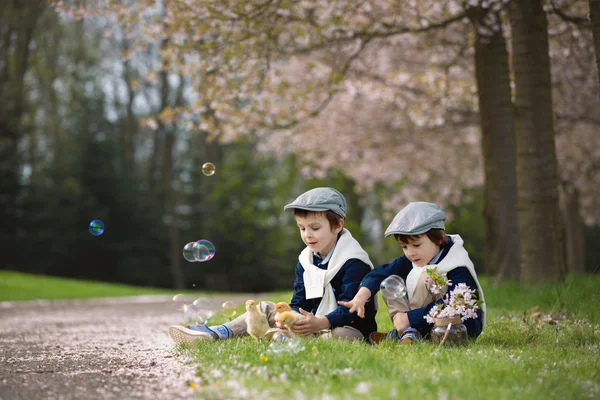 Due adorabili bambini in età prescolare, fratelli maschi, che giocano con la cucciolata — Foto Stock