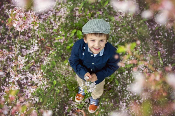 Hermoso retrato de un niño preescolar joven sosteniendo la flor —  Fotos de Stock