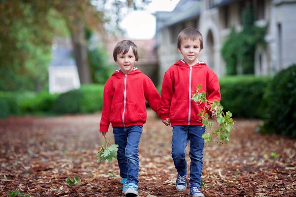 Retrato doble de dos niños, hermanos varones en el jardín de otoño —  Fotos de Stock