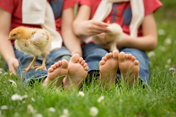 Lindos pies pequeños de niños pequeños, jugando con polluelos , — Foto de Stock